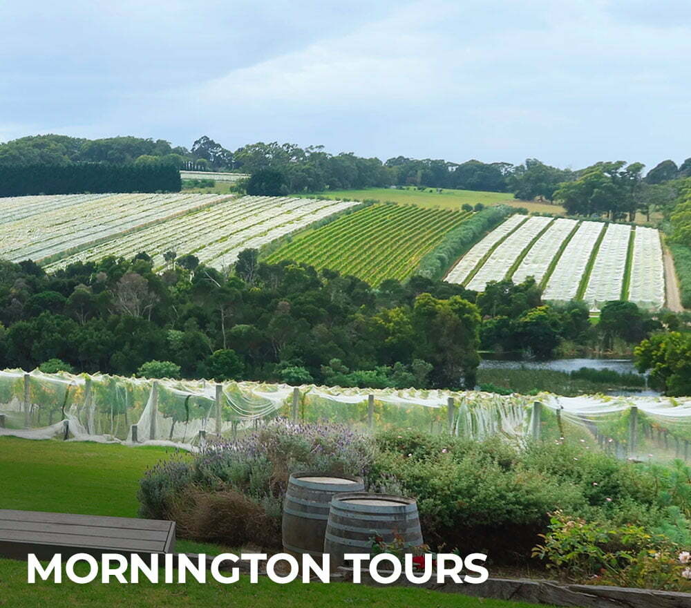 Mornington Peninsula Tours