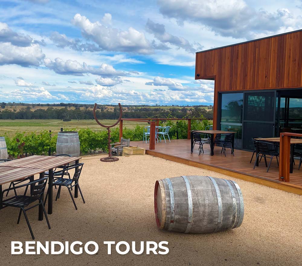 bendigo wine tours